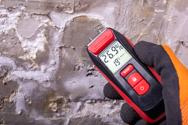Best Office Mold Removal Services  in Jeffersonville, KY
