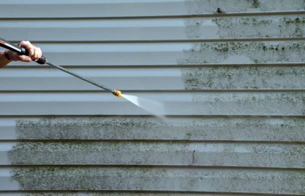 Best Certified Mold Removal  in Jeffersonville, KY