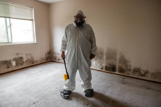 Professional Mold Removal in Jeffersonville, KY